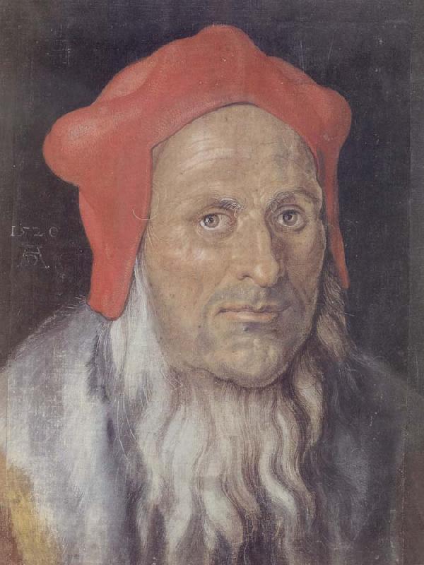 Albrecht Durer Bearded Man in a Red cap oil painting image
